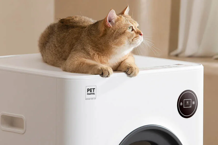 odorless litter box