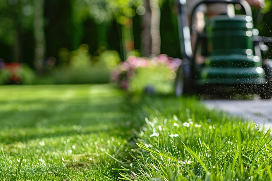 electric push mower