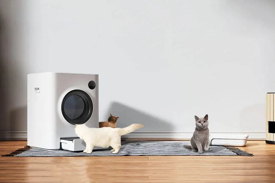 best litter boxes for large cats